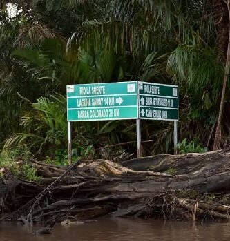 how to get from san jose to tortugero