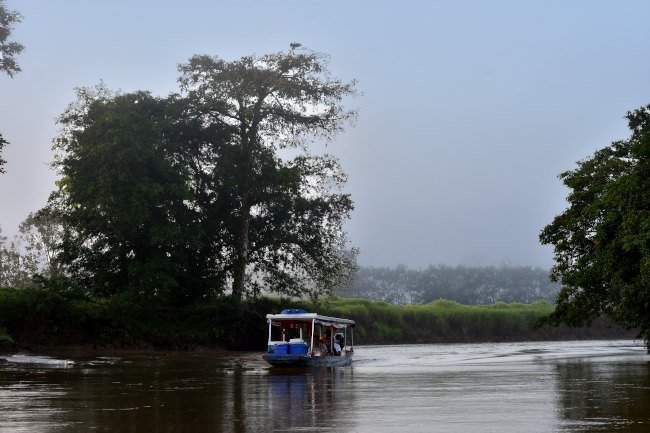 en bus barco tortuguero san jose costa rica