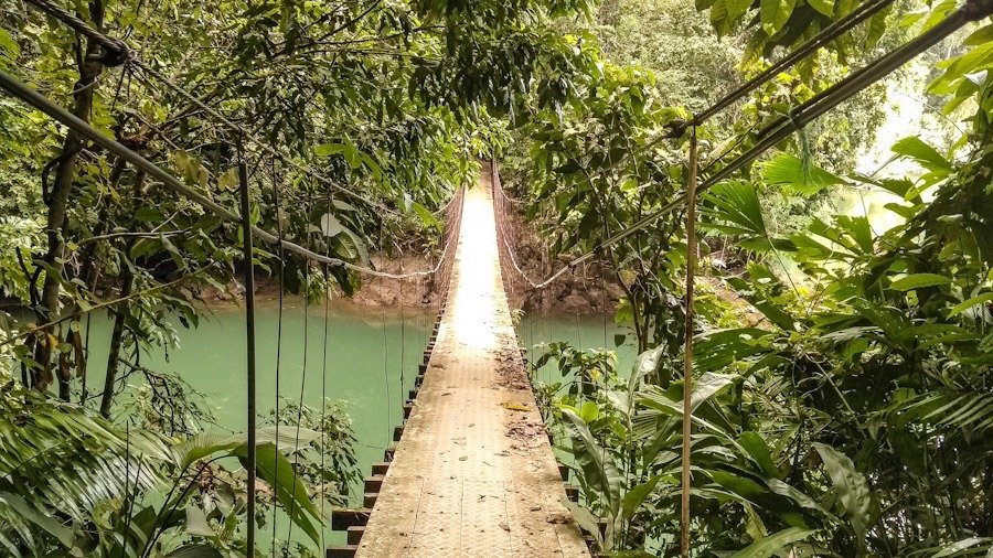 sendero bahia drake playa costa rica