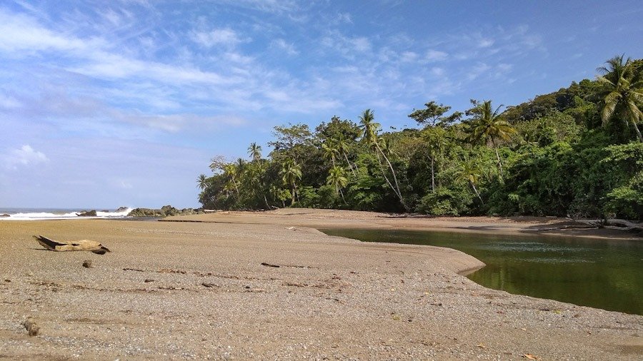 playa río claro liberación tortugas drake voluntariado