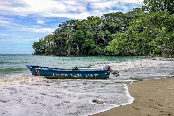 playa punta uva mirador manzanillo costa rica